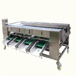 Potato Sorting Machine